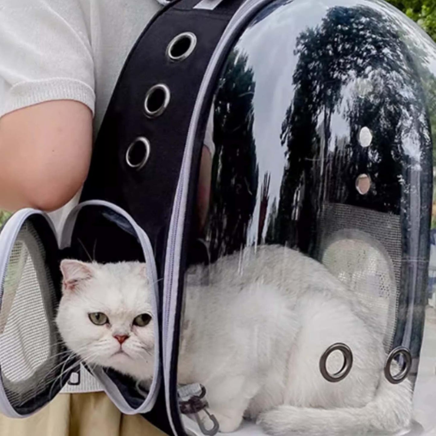 Cat Backpack Carrier Dog Carriers for Small Dogs Carrier Cat Bag Pet Carrier for Cat Carrier Backpack Cat Supplies Cat Travel Carrier Small Pet Carrier Airline Approved Dog Carrier, Black