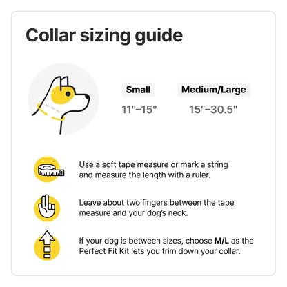 3 - Wireless GPS Dog Fence & Training Collar with Real-Time Tracking, Sunburst, Medium/Large