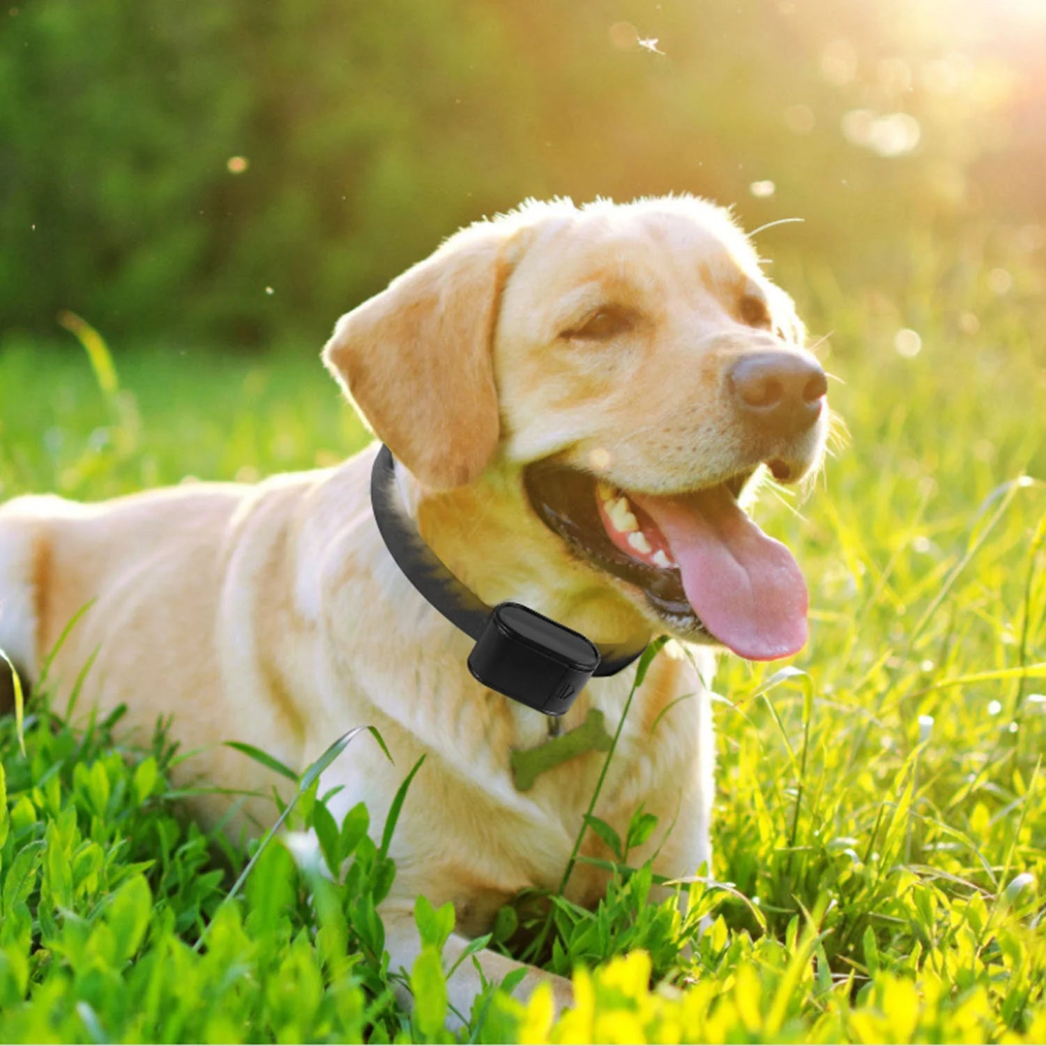 Invisible Fence for Dog Waterproof Shock Collar for Dog Electric Fence for Dogs up to 1.2 Acres