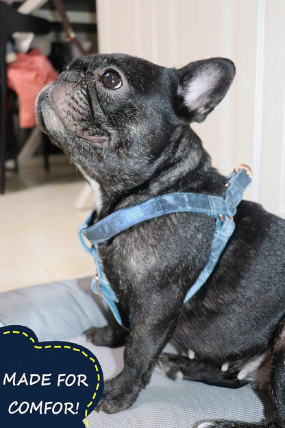 Dog Halter Harness, Velvet Dog Harness, No Pull Dog Halter Harness, Adjustable Heavy Duty Dog Harness for Small Medium Large Dogs