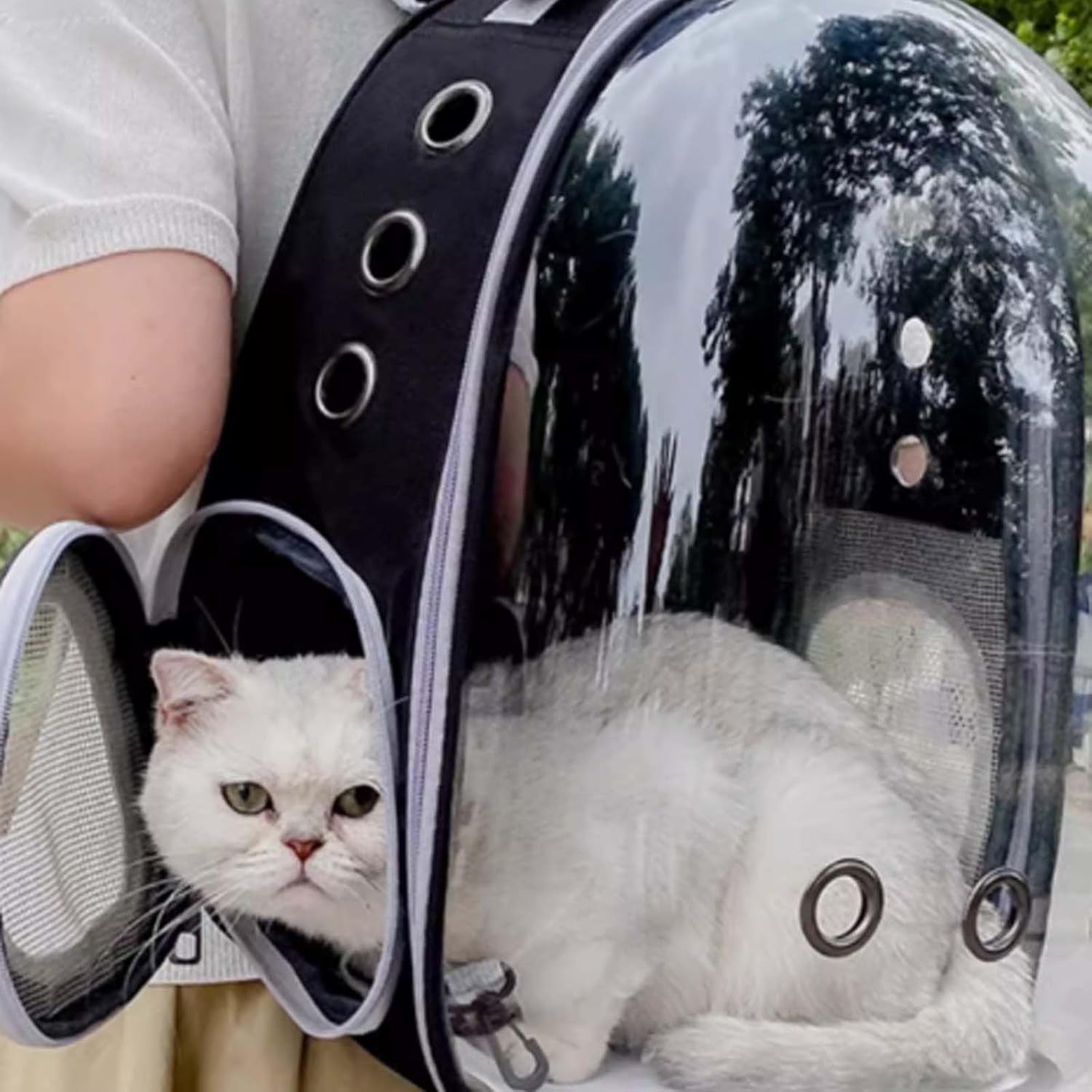 Cat Backpack Carrier Dog Carriers for Small Dogs Carrier Cat Bag Pet Carrier for Cat Carrier Backpack Cat Supplies Cat Travel Carrier Small Pet Carrier Airline Approved Dog Carrier, Black