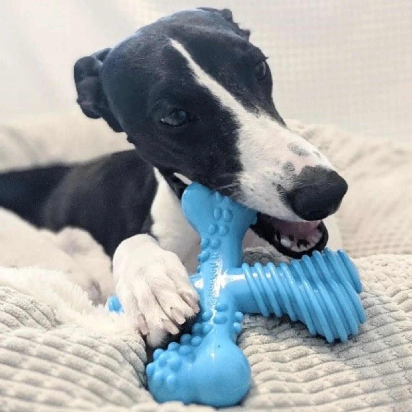 Power Chew Comfort Hold X Bone Dog Toy Beef Large (1 Count)