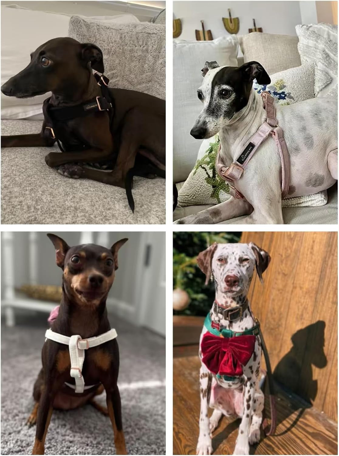 Dog Halter Harness, Velvet Dog Harness, No Pull Dog Halter Harness, Adjustable Heavy Duty Dog Harness for Small Medium Large Dogs