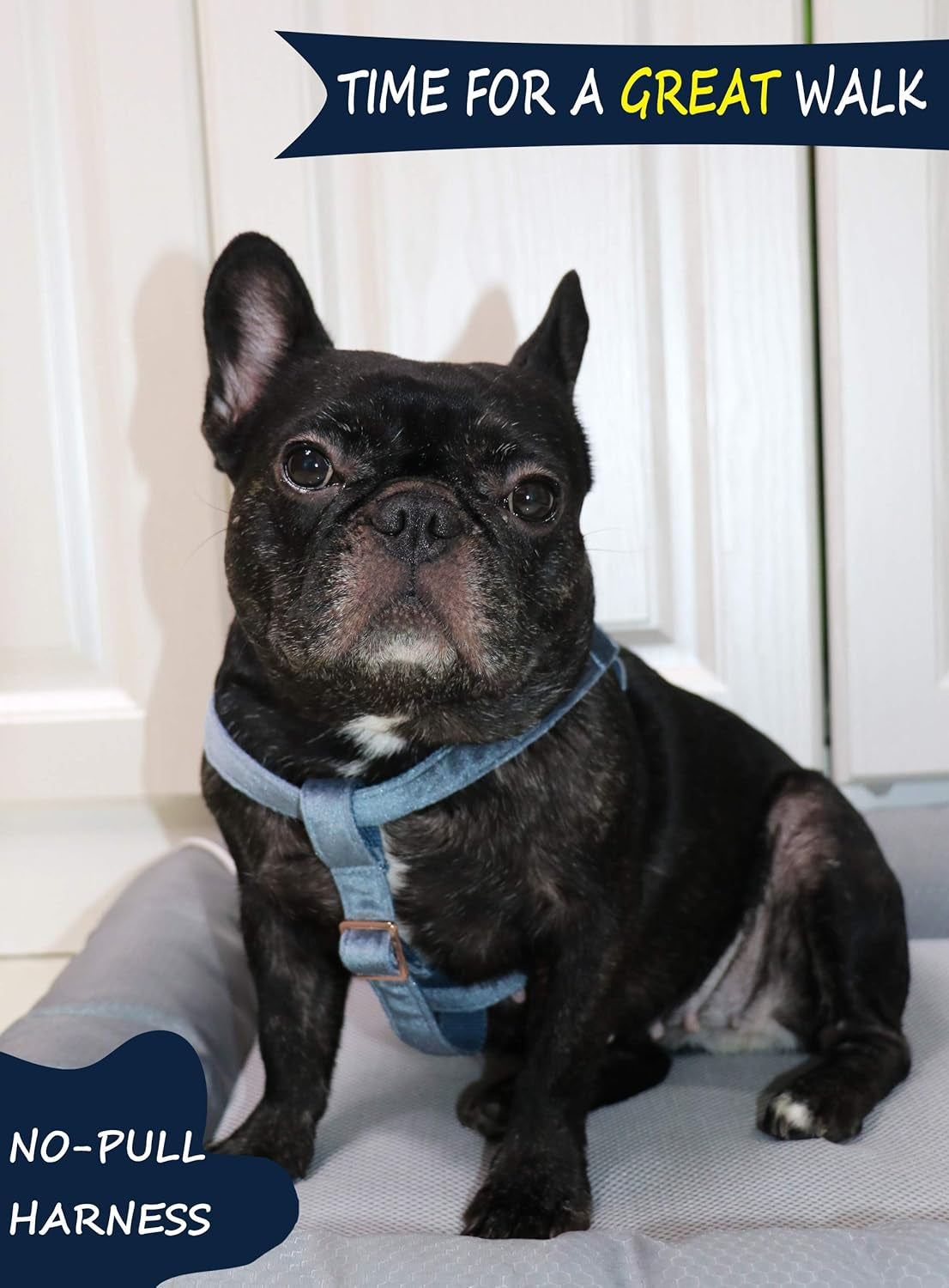 Dog Halter Harness, Velvet Dog Harness, No Pull Dog Halter Harness, Adjustable Heavy Duty Dog Harness for Small Medium Large Dogs