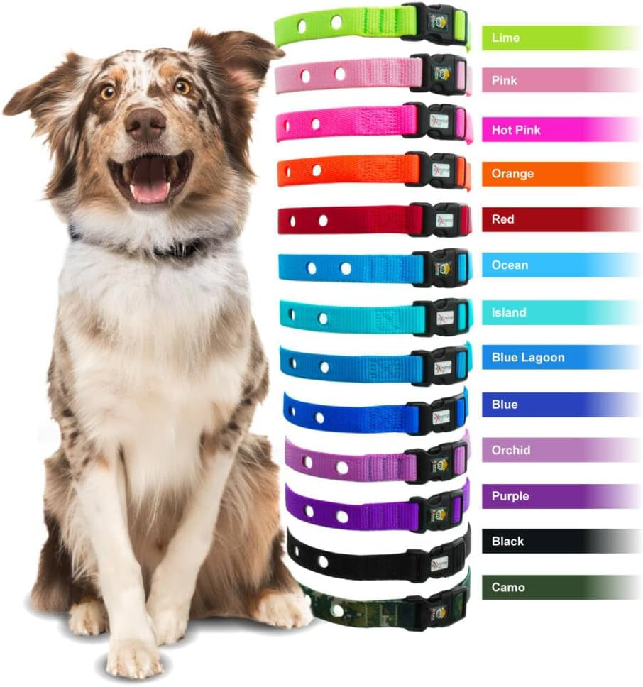 Heavy Duty Nylon Replacement Dog Collar Strap - Compatible with Most Brands/Models of Underground Electric Dog Fences and Training Receivers- Hot Pink
